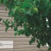 Сайдинг Ю-Пласт TIMBERBLOCK Пихта (Тимберблок) Cахалинская купить в Рязани