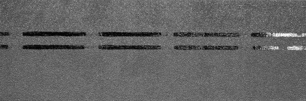 Коньково-карнизная черепица Docke Premium, черника купить в Рязани