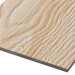Фиброцементные панели FCSPRO Decor Wood Лиственница купить в Рязани