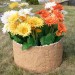 Цветник КАНЬОН купить в Рязани