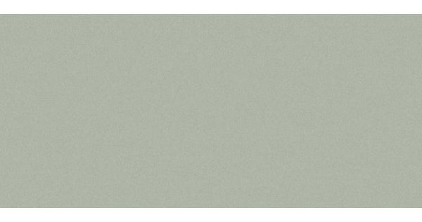 Сайдинг CEDRAL smooth (гладкий) С06 купить в Рязани